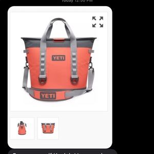 Meet your Posher, Wyatt